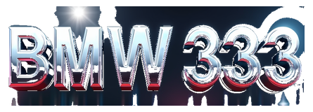bmw333 logo